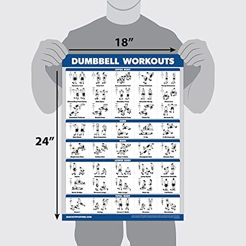 Ultimate 3-Pack Workout Posters: Dumbbell Exercises, Bodyweight Routines & Stretching Guide - 18" X 24" Laminated Charts