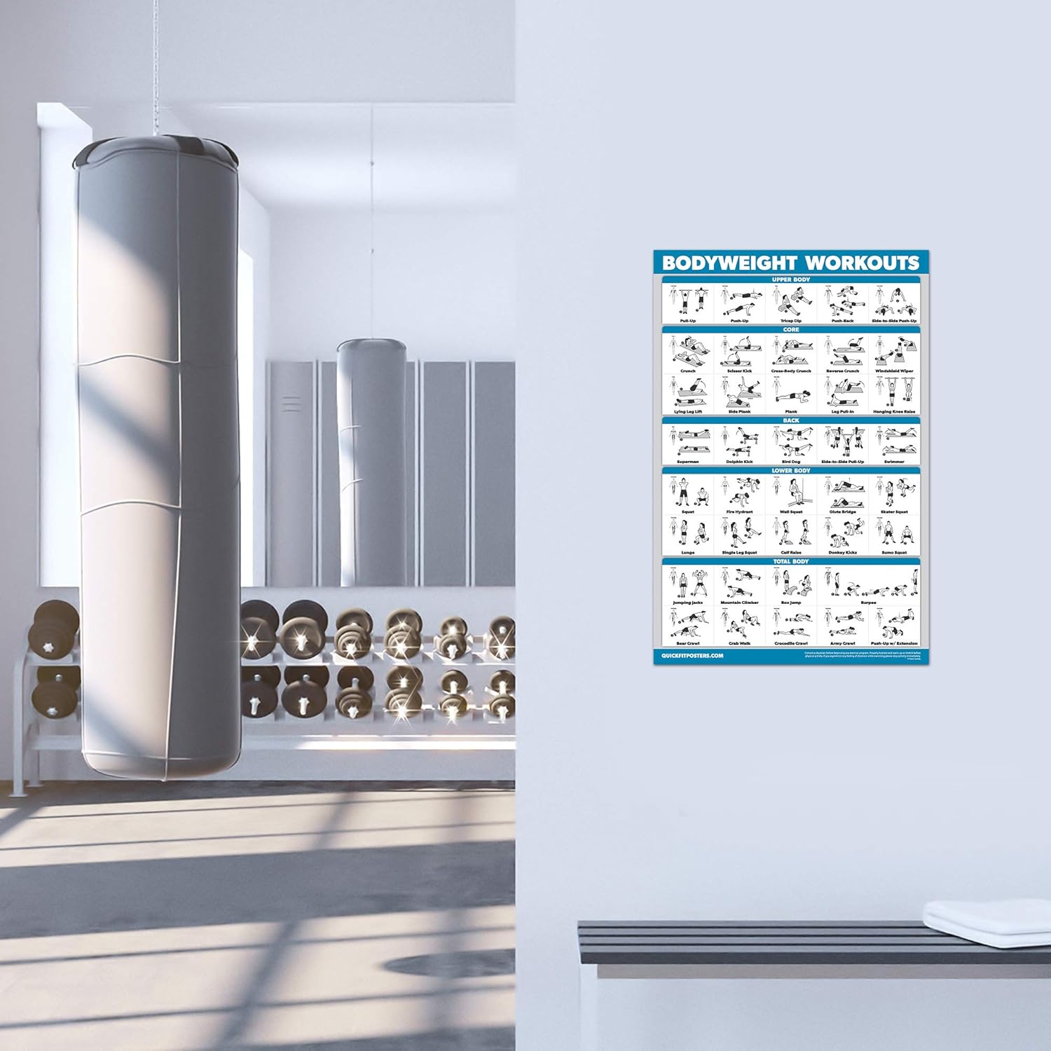 Ultimate 3-Pack Workout Posters: Dumbbell Exercises, Bodyweight Routines & Stretching Guide - 18" X 24" Laminated Charts